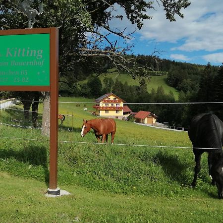 Urlaub Am Bauernhof Familie Kitting Villa Vorau ภายนอก รูปภาพ