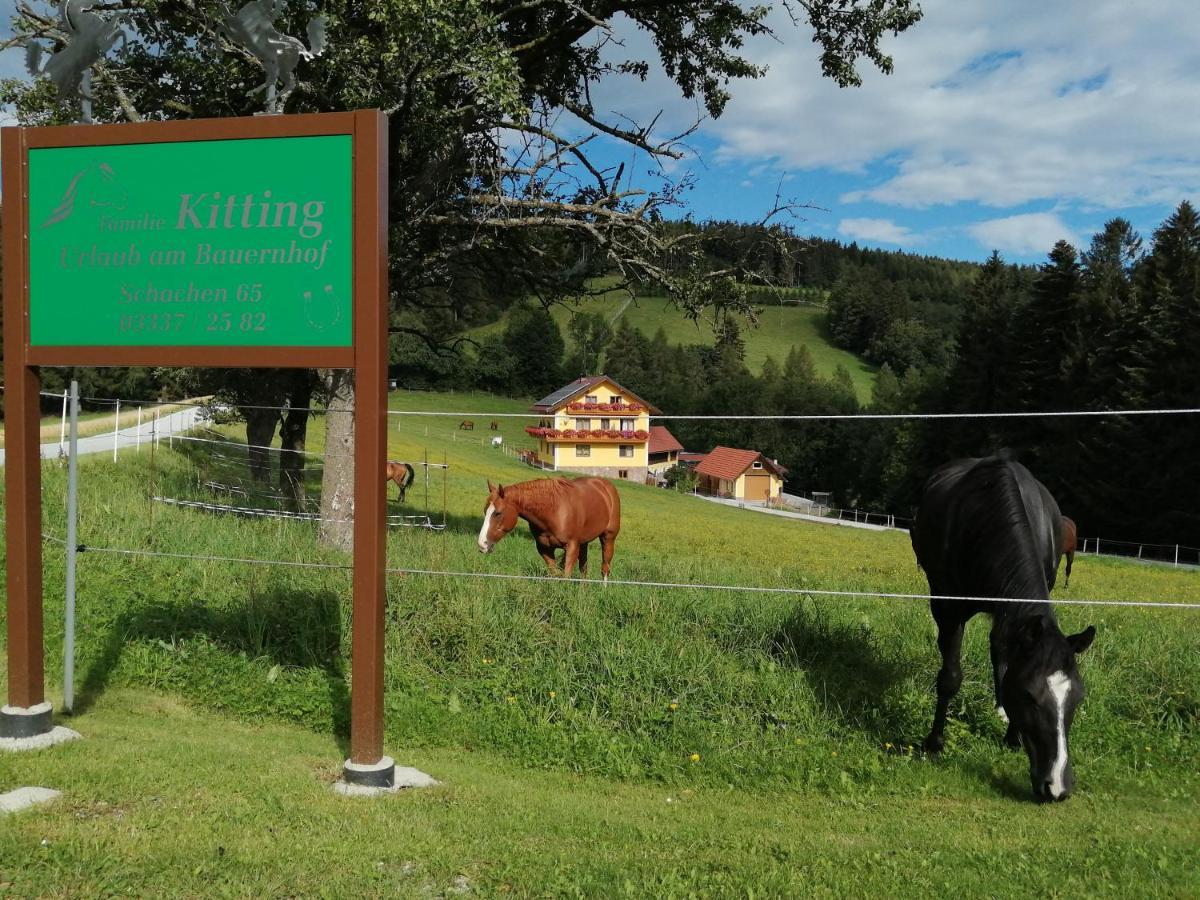 Urlaub Am Bauernhof Familie Kitting Villa Vorau ภายนอก รูปภาพ