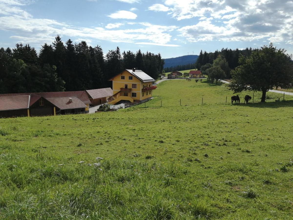 Urlaub Am Bauernhof Familie Kitting Villa Vorau ภายนอก รูปภาพ
